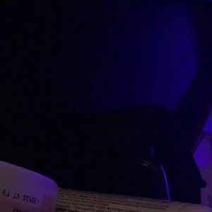 Meet your Posher, Thomas